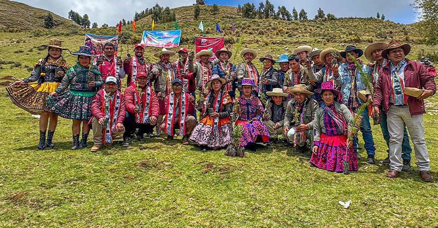 instalación plantones de especies nativas en Espinar y Chumbivilcas Cusco Perú