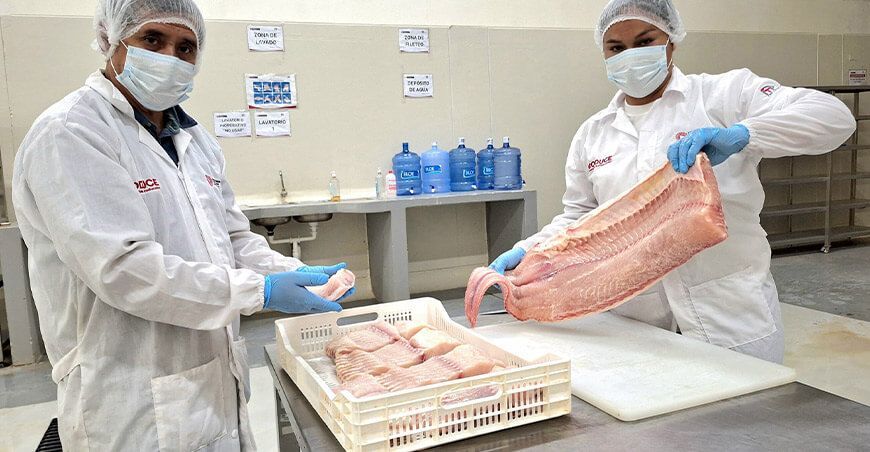 CITEpesquero Amazónico Pucallpa certifica a operarios en fileteo y salado de pescado