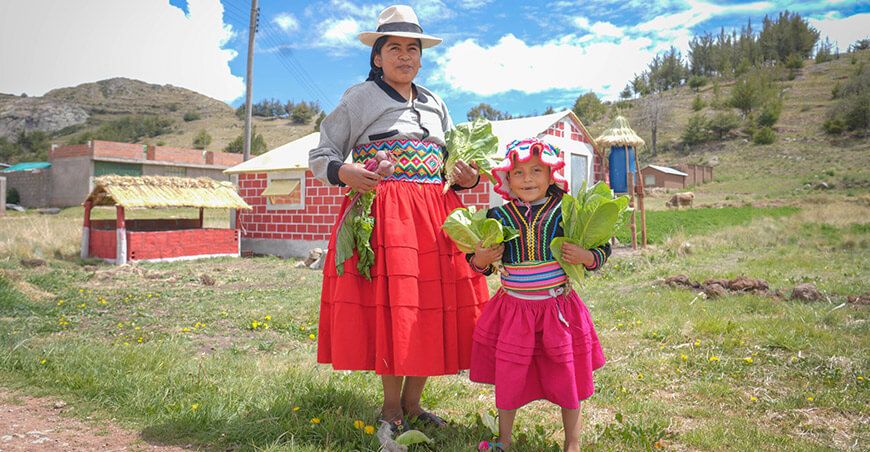 módulos productivos hortalizas Puno Perú