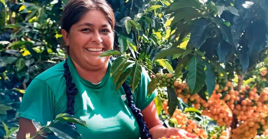 Finca Churupampa: Café sostenible de Cajamarca conquista mercados internacionales con innovación