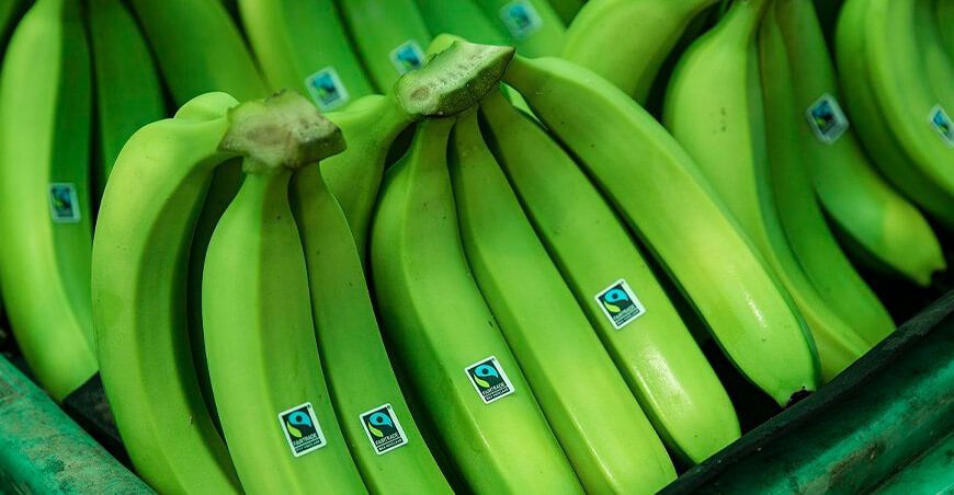 Perú exportación de banano peruano