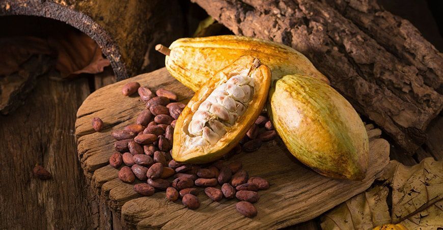 Perú exportación de cacao peruano