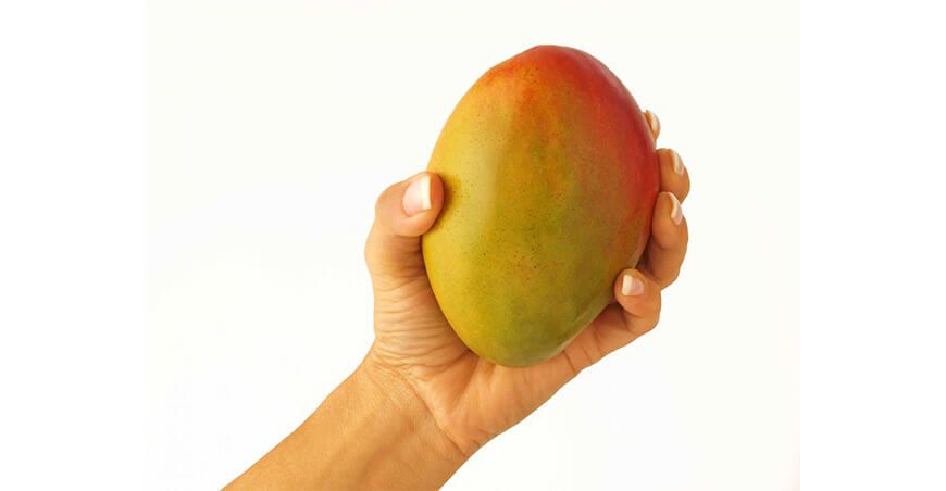Perú exportación de mango peruano