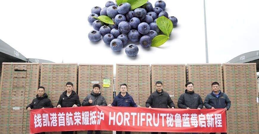 Arribó a China primer envío de arándanos de Hortifrut a través del Puerto de Chancay de Perú