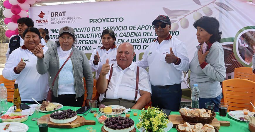Escuelas de Campo fortalecen capacidades de más de 1000 olivicultores en Tacna