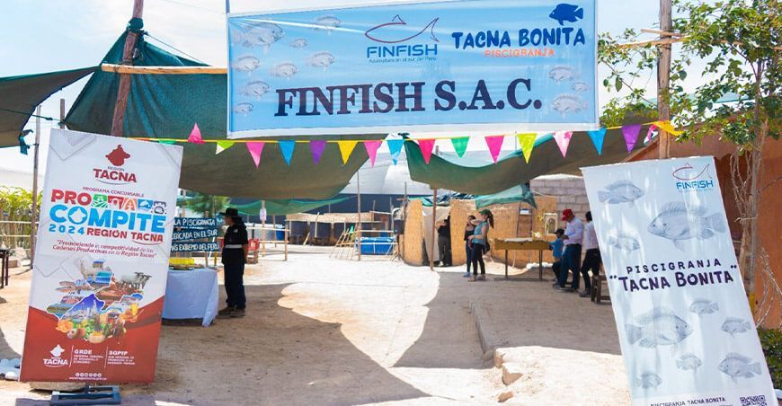 Inauguraron módulo tecnificado para la producción de trucha arco iris Tacna Perú