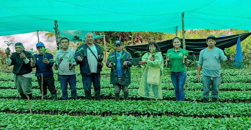 5) (4:00PM) Junín: Renovación de Cafetales en Chanchamayo con 72 500 plantones de alta calidad Junín Perú