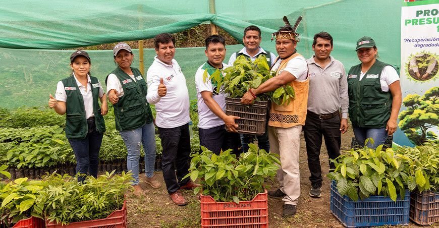 Provraem entregó 20 000 plantones para reforestar 23 hectáreas en Junín