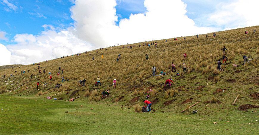 Mancomunidad regional plantará 7 millones de árboles nativos Los Andes Verde