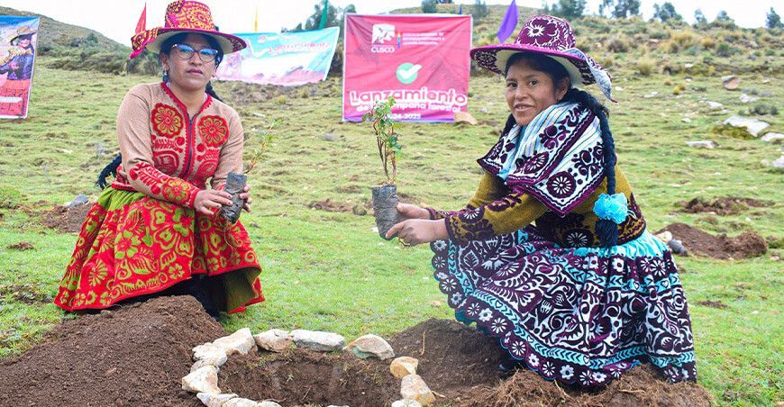 instalación plantones de especies nativas en Espinar y Chumbivilcas Cusco Perú