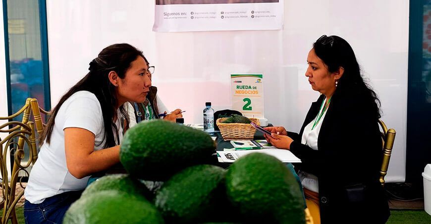 Rueda de Negocios de Palta de los Andes productores Perú Agromercado