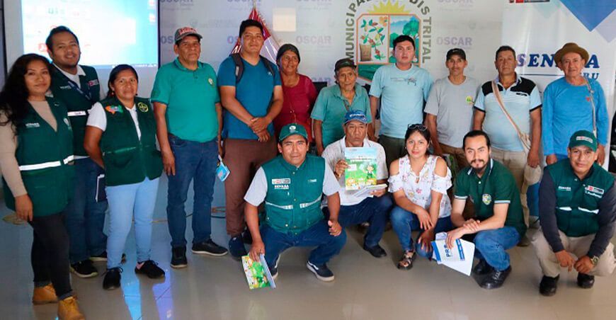 Senasa capacitó a productores de café para el manejo de la plaga Xylella fastidiosa Junín Perú