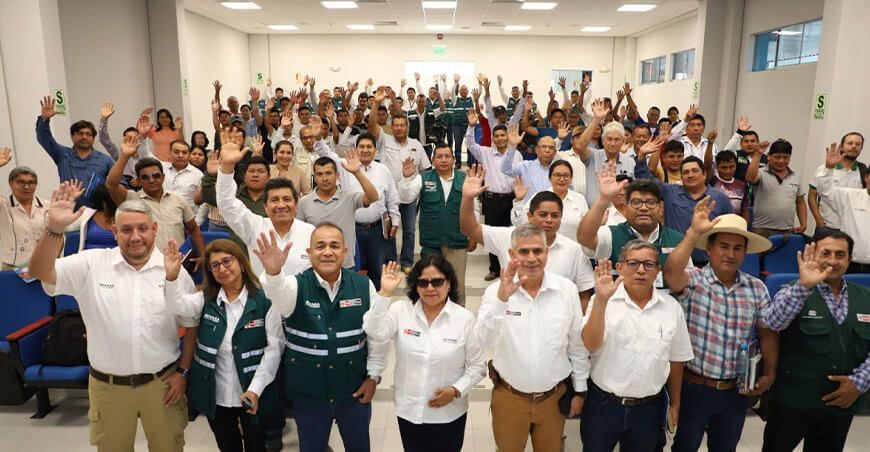 Senasa logró reducción poblacional de la mosca de la fruta en Piura Perú 