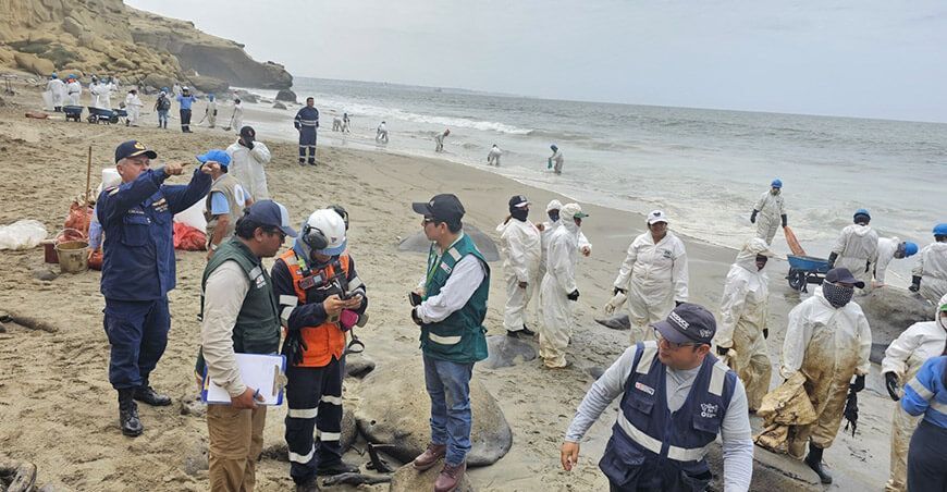 Serfor despliega brigadas para el rescate y rehabilitación de fauna silvestre que podría haberse afectada en Lobitos Piura Perú