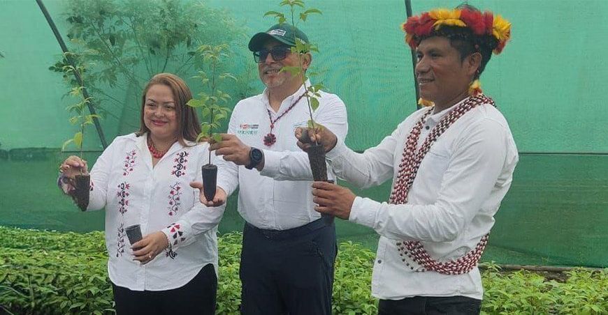 Entregan fondos no reembolsables al pueblo originario Awajún para desarrollo forestal