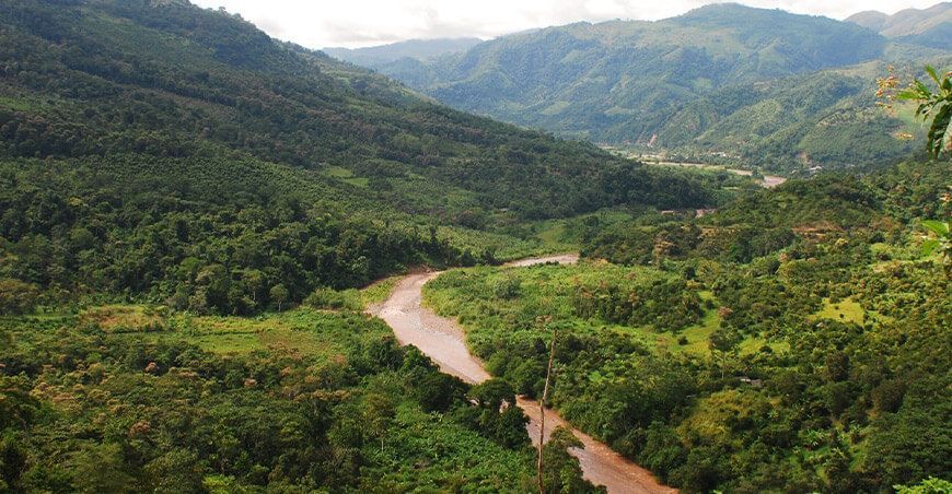 Serfor fortalece capacidades en elaboración de planes de restauración de ecosistemas afectados por incendios forestales Perú