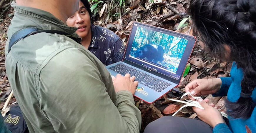 Primer registro en imágenes del oso de anteojos en la Reserva Comunal Tuntanain en Amazonas Perú Sernanp 