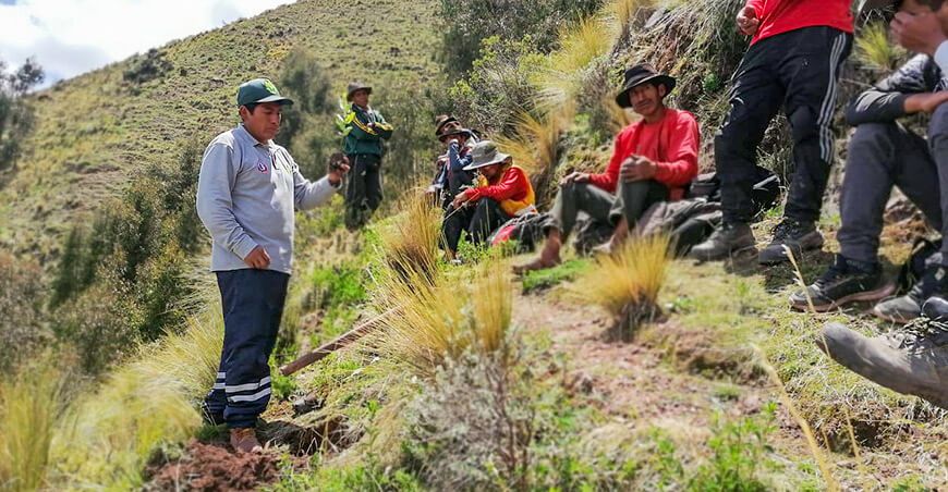 siembra de 3000 plantones de eucalipto en la comunidad de Huambo, distrito de Alcamenca, provincia de Fajardo Ayacucho Perú