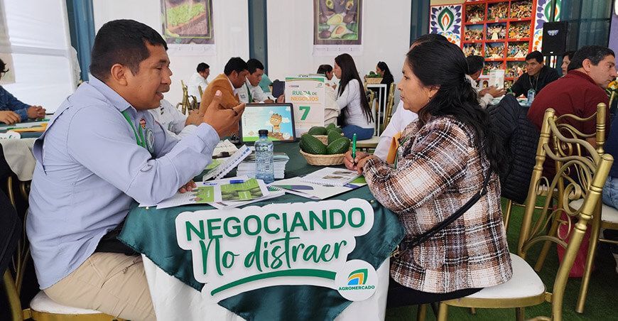 Rueda de Negocios de Palta de los Andes productores Perú Agromercado