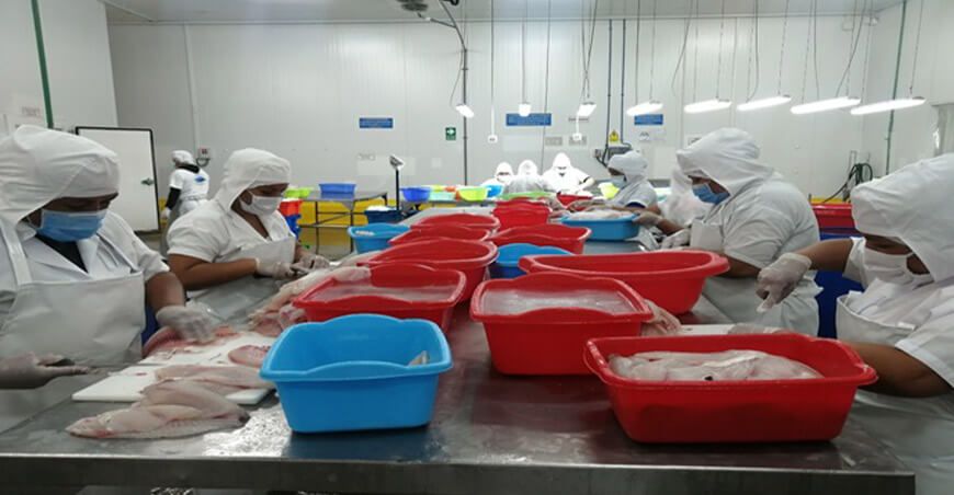 Profesionales y técnicos se capacitaron en economía circular y certificación acuícola ITP Perú
