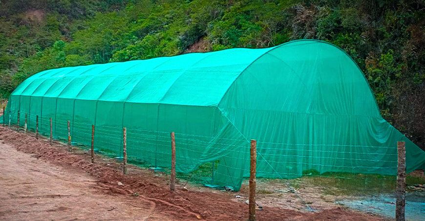 Agro Rural construyó 22 túneles para la producción de paltos en Junín