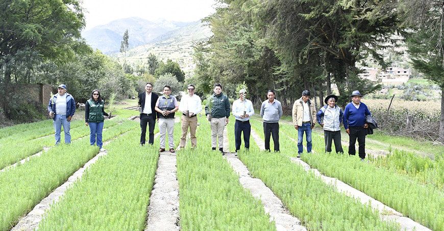Agro Rural entrega plantones forestales población Carhuaz Ancash Perú 