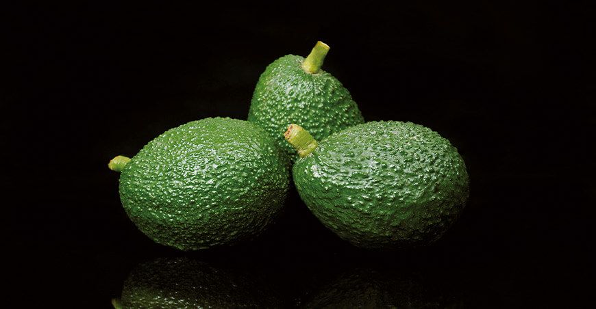 agroexportación Perú palta Hass peruana