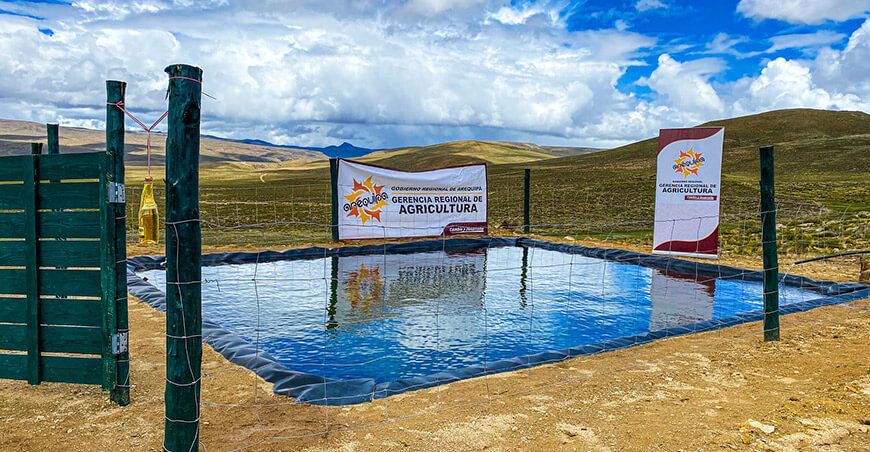 Entrega de microrreservorios fortalece la crianza de camélidos en Caylloma Arequipa Perú