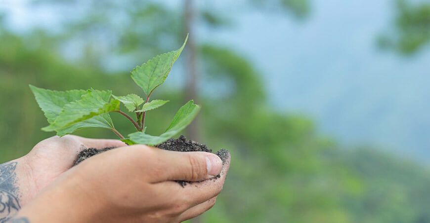 BASF Peruana impulsa prácticas agrícolas que reducen emisiones y mejoran la productividad peruana