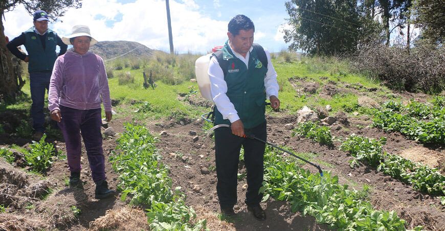 Entregan bioestimulantes foliares a productores afectados por heladas Huancavelica Perú