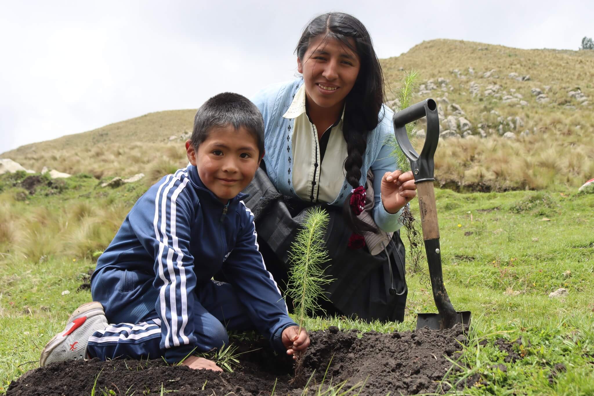 plantones de pino fueron instalados en el caserío de Llullapuquio reforestación Cajamarca Perú