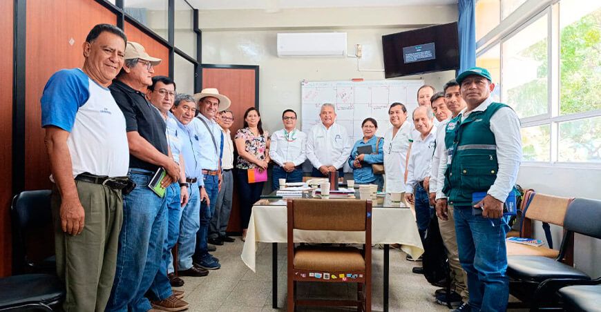 Coordinan soluciones para la crisis de la producción de mango en Piura Perú