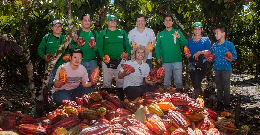 Devida Perú fortalece producción y venta de cacao productores de Huánuco