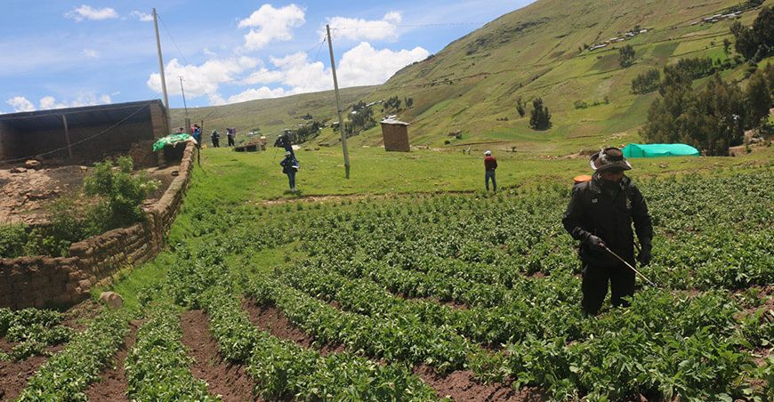 Productores de Yauli reciben bioestimulantes para recuperar cultivos en Huancavelica Perú