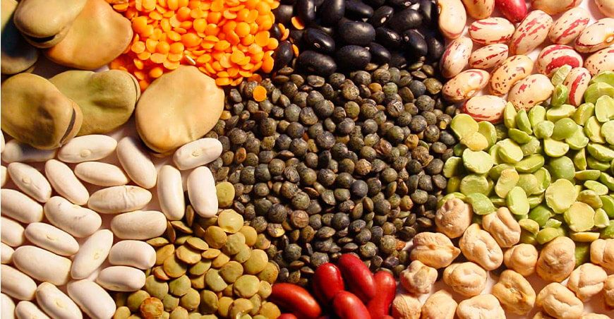 Perú será anfitrión de las actividades oficiales de FAO por el Día Mundial de las Legumbres 