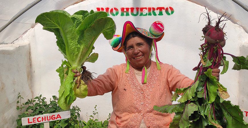 Foncodes invertirá en proyectos productivos productoras de sierra biohuertos