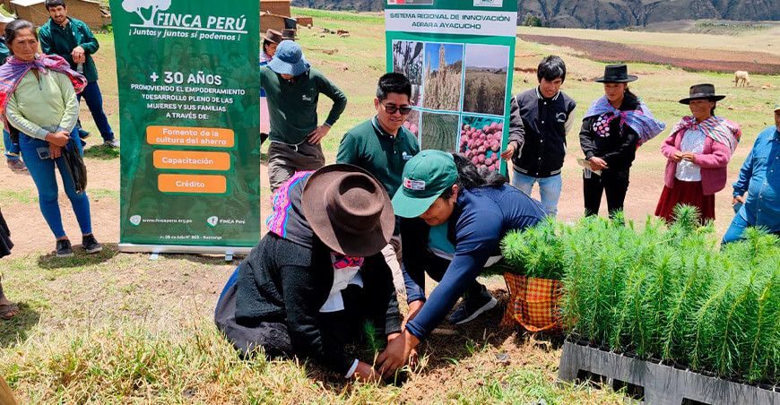 INIA implementará sistemas agroforestales para fortalecer la producción agrícola en Acocro Ayacucho Perú