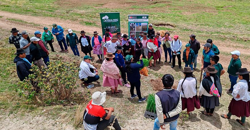 INIA implementará sistemas agroforestales para fortalecer la producción agrícola en Acocro Ayacucho Perú