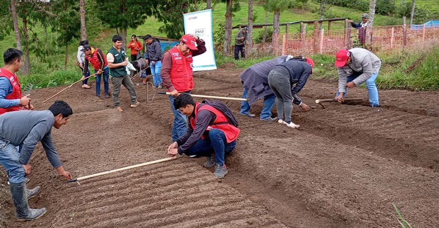 INIA fortaleció a más de 200 000 productores agrarios como líderes en cadenas de valor
