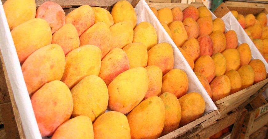 Midagri potencia acciones sectoriales para seguir fortaleciendo la cadena productiva del mango Perú