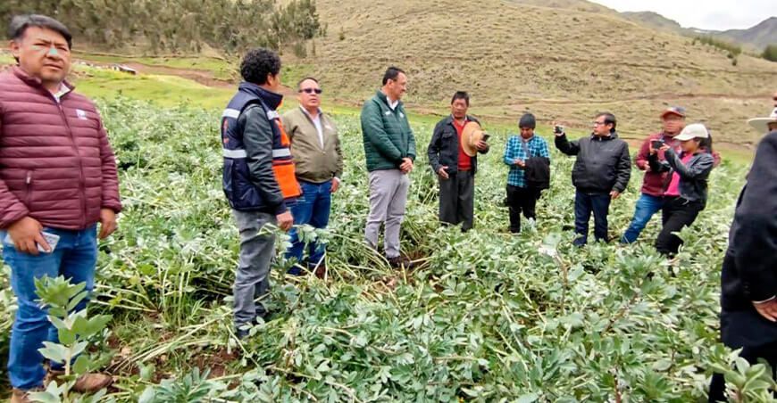 Midagri refuerza acciones de apoyo en Cusco por granizadas y nevadas