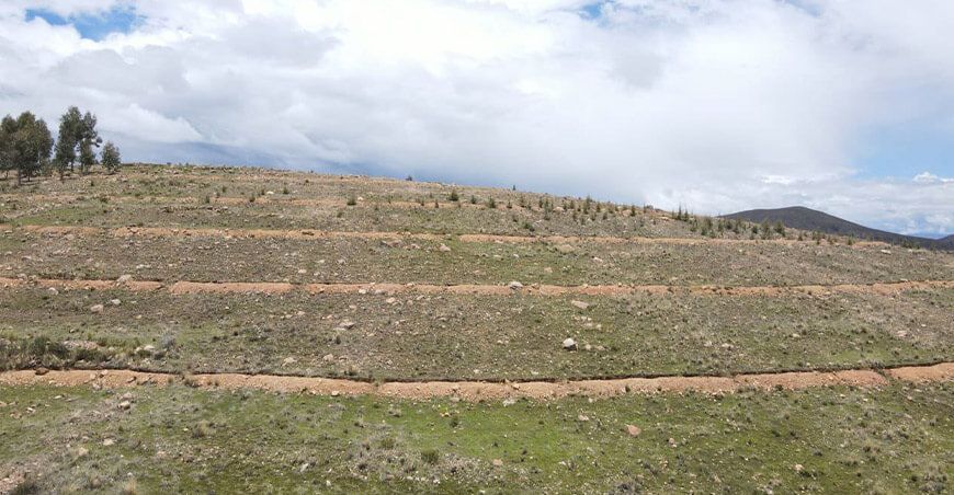 Midagri rehabilitó 109 kilómetros de zanjas de infiltración en Yunguyo Puno Perú