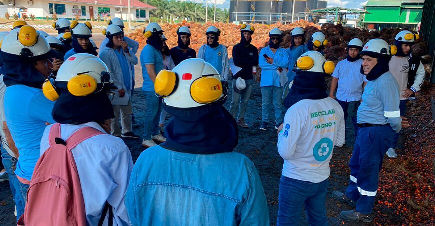 Palmicultora Ocho Sur abre sus puertas con programa de pasantías para la academia Ucayali Perú