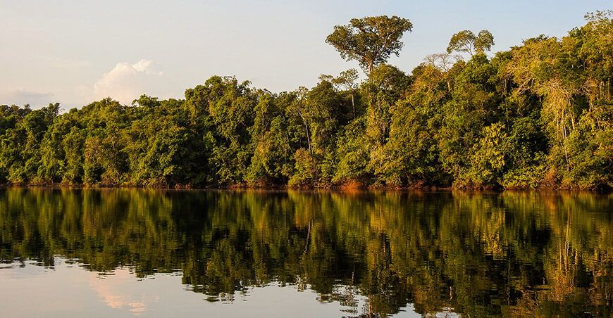 Reserva Nacional Allpahuayo Mishana nominada al Green Destinations Top 100 People’s Choice Award 2025