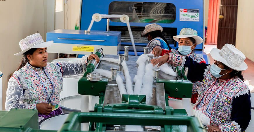 Agroideas cofinanciamiento productoras alpaqueras textiles de Arequipa Perú