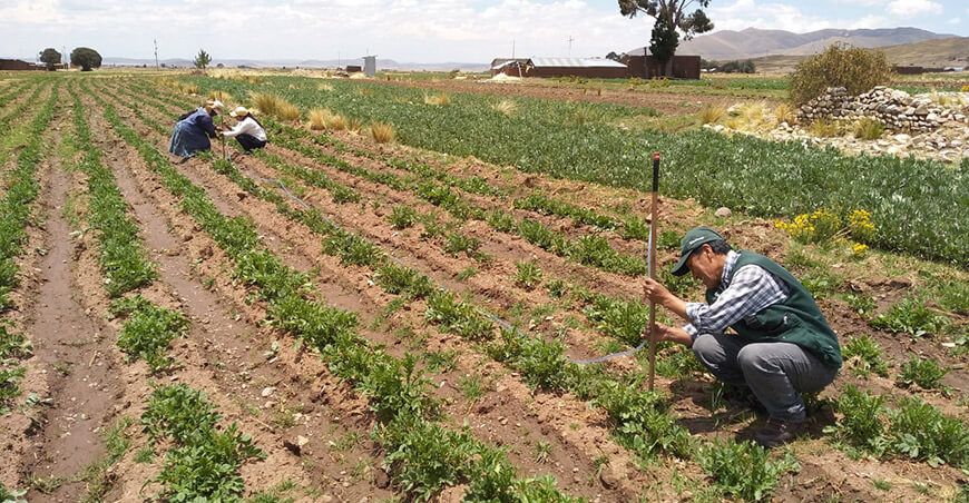 plataformas del Midagri