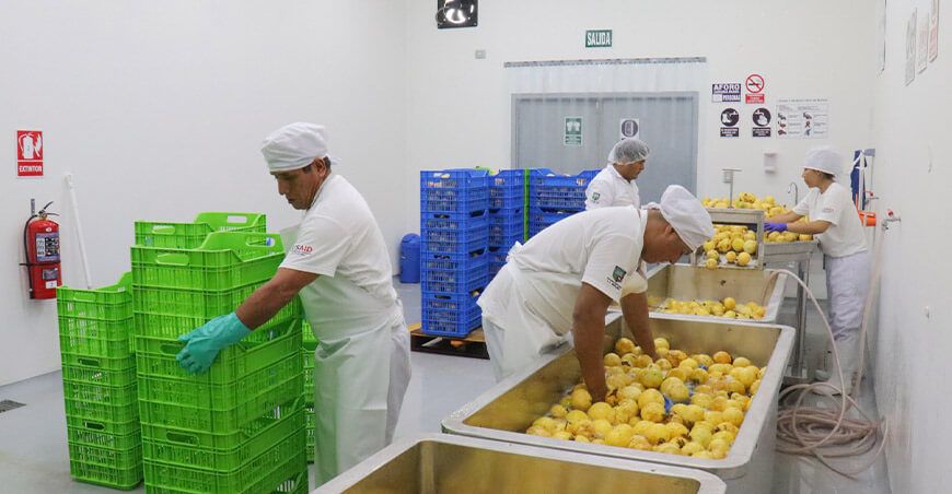 El único centro de procesamiento de frutas maracuyá en la región San Martín de Perú Hub UNALM recibirá certificación HACCP