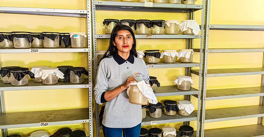 Promueven producción de biocontroladores para combatir plagas Arequipa Perú