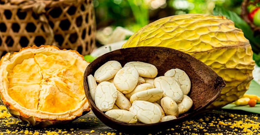 producción de macambo Amazonía peruana
