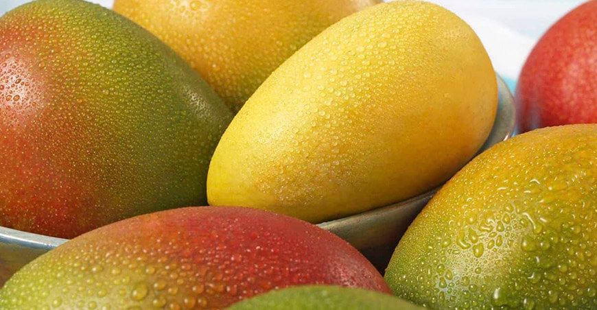 producción de mango Perú